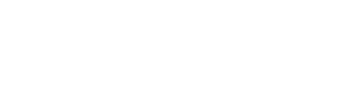 Basalt Site Services