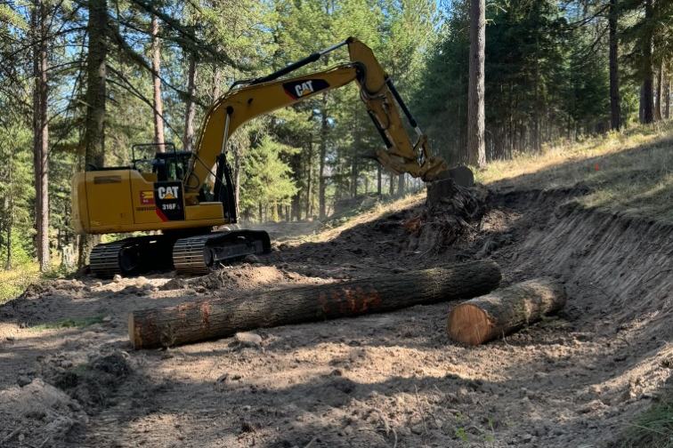 Excavator handling logs on a forested lot